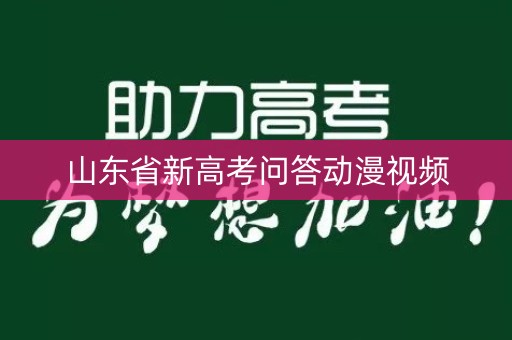 山东省新高考问答动漫视频