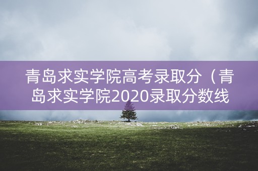 青岛求实学院高考录取分（青岛求实学院2020录取分数线）