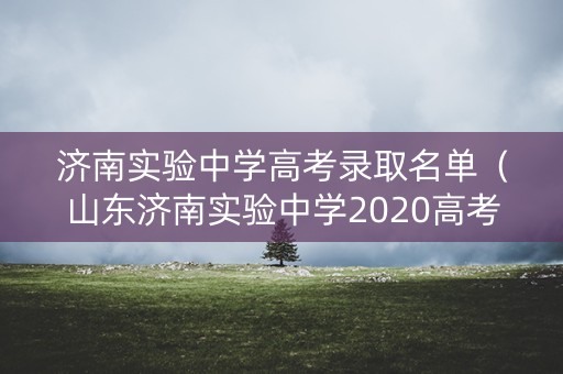 济南实验中学高考录取名单（山东济南实验中学2020高考喜报）