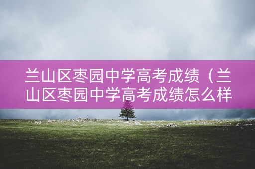 兰山区枣园中学高考成绩（兰山区枣园中学高考成绩怎么样）