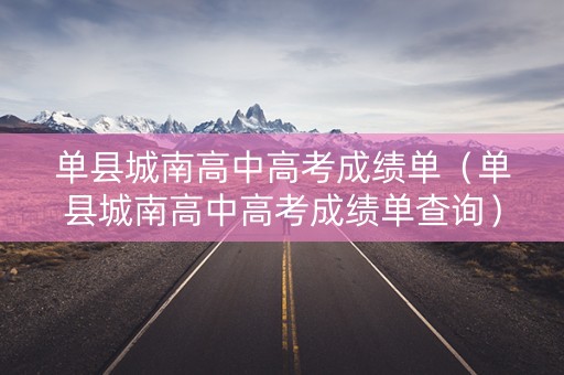 单县城南高中高考成绩单（单县城南高中高考成绩单查询）