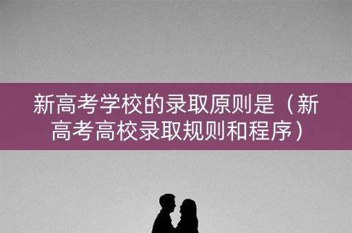新高考学校的录取原则是（新高考高校录取规则和程序）
