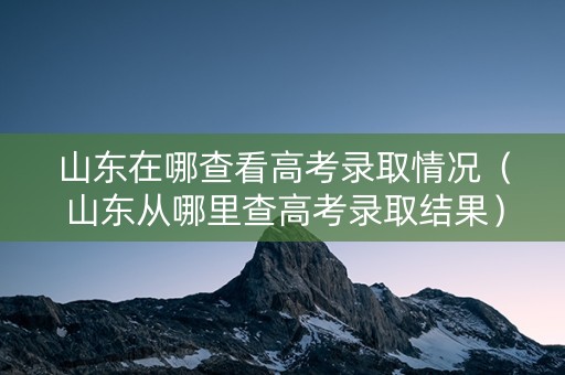山东在哪查看高考录取情况（山东从哪里查高考录取结果）