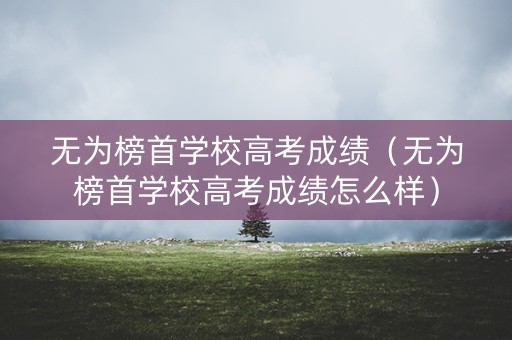 无为榜首学校高考成绩（无为榜首学校高考成绩怎么样）