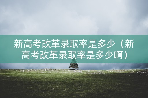 新高考改革录取率是多少（新高考改革录取率是多少啊）