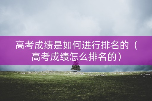 高考成绩是如何进行排名的（高考成绩怎么排名的）