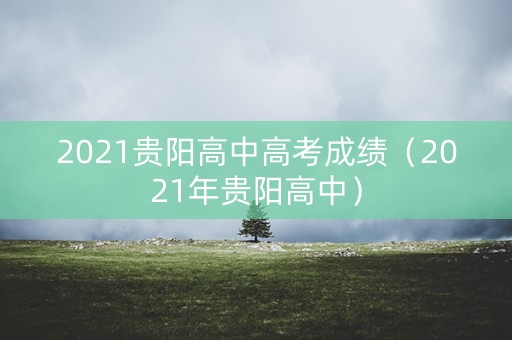 2021贵阳高中高考成绩（2021年贵阳高中）