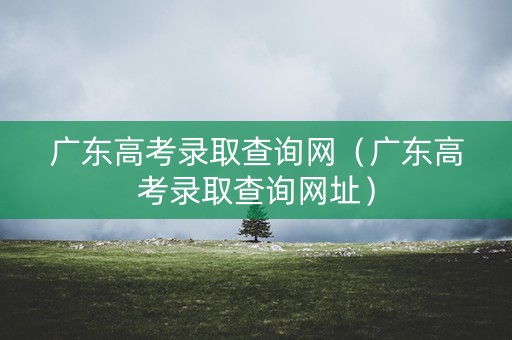 广东高考录取查询网（广东高考录取查询网址）