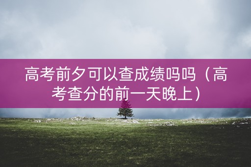 高考前夕可以查成绩吗吗（高考查分的前一天晚上）