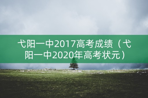 弋阳一中2017高考成绩（弋阳一中2020年高考状元）