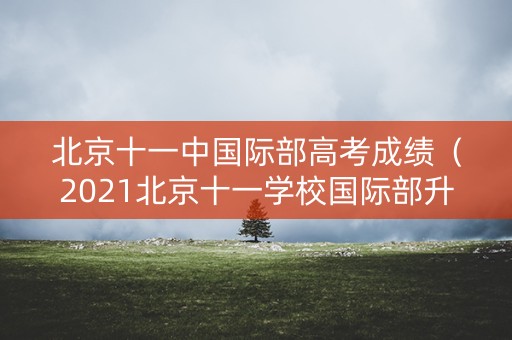 北京十一中国际部高考成绩（2021北京十一学校国际部升学率）