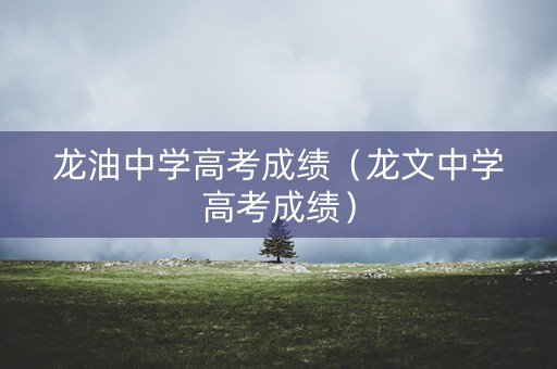 龙油中学高考成绩（龙文中学高考成绩）