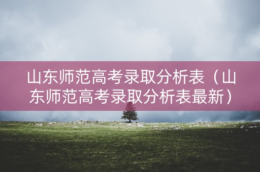 山东师范高考录取分析表（山东师范高考录取分析表最新）