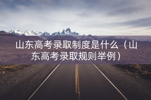 山东高考录取制度是什么（山东高考录取规则举例）