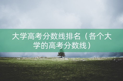 大学高考分数线排名（各个大学的高考分数线）