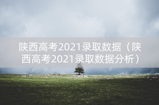 陕西高考2021录取数据（陕西高考2021录取数据分析）