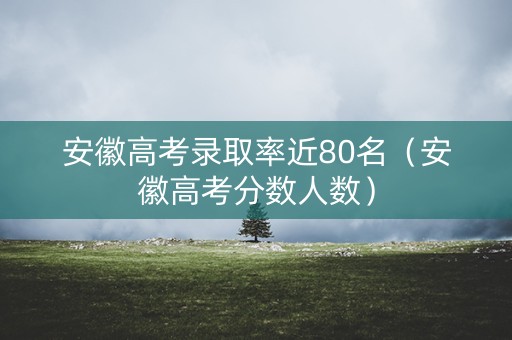 安徽高考录取率近80名（安徽高考分数人数）