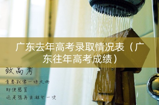 广东去年高考录取情况表（广东往年高考成绩）