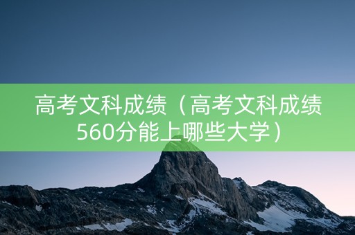 高考文科成绩（高考文科成绩560分能上哪些大学）