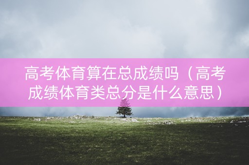高考体育算在总成绩吗（高考成绩体育类总分是什么意思）