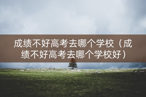 成绩不好高考去哪个学校（成绩不好高考去哪个学校好）