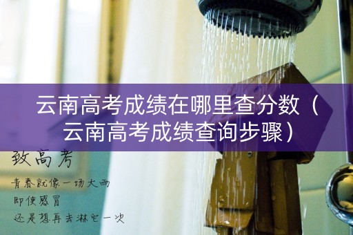 云南高考成绩在哪里查分数（云南高考成绩查询步骤）