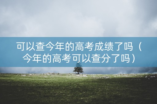 可以查今年的高考成绩了吗（今年的高考可以查分了吗）