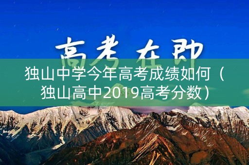 独山中学今年高考成绩如何（独山高中2019高考分数）