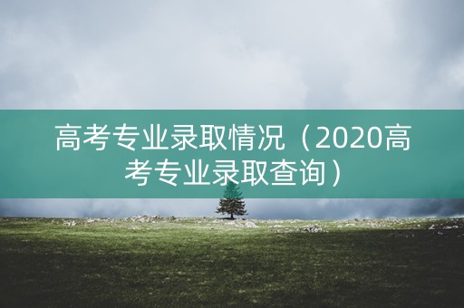 高考专业录取情况（2020高考专业录取查询）