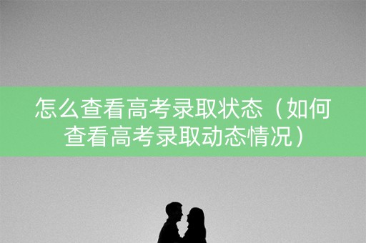 怎么查看高考录取状态（如何查看高考录取动态情况）