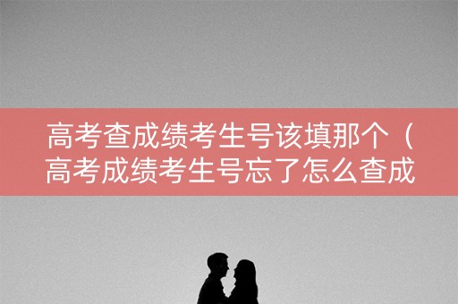 高考查成绩考生号该填那个（高考成绩考生号忘了怎么查成绩）