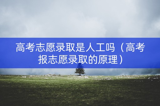 高考志愿录取是人工吗（高考报志愿录取的原理）