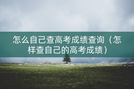 怎么自己查高考成绩查询（怎样查自己的高考成绩）