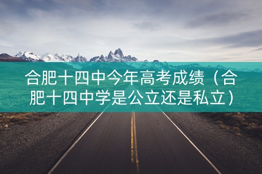 合肥十四中今年高考成绩（合肥十四中学是公立还是私立）