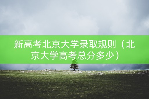 新高考北京大学录取规则（北京大学高考总分多少）