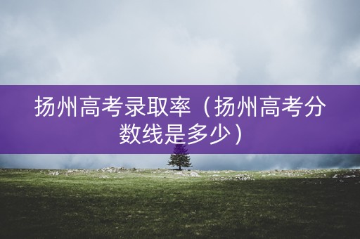 扬州高考录取率（扬州高考分数线是多少）