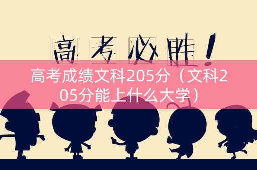 高考成绩文科205分（文科205分能上什么大学）