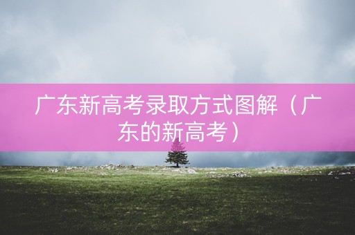 广东新高考录取方式图解（广东的新高考）