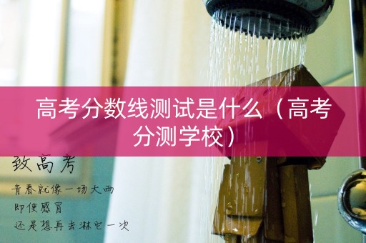 高考分数线测试是什么（高考分测学校）