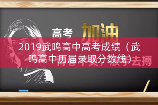 2019武鸣高中高考成绩（武鸣高中历届录取分数线）