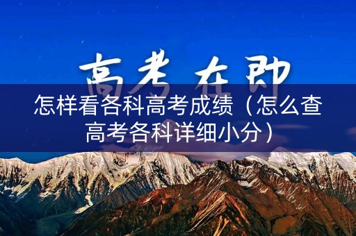 怎样看各科高考成绩（怎么查高考各科详细小分）
