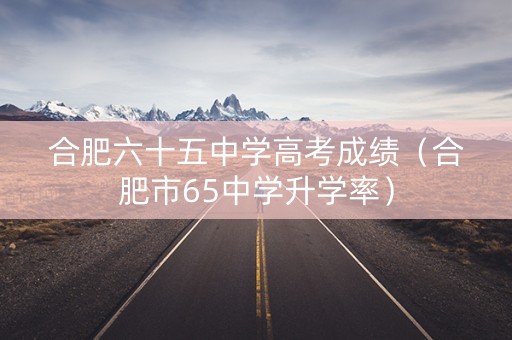 合肥六十五中学高考成绩（合肥市65中学升学率）