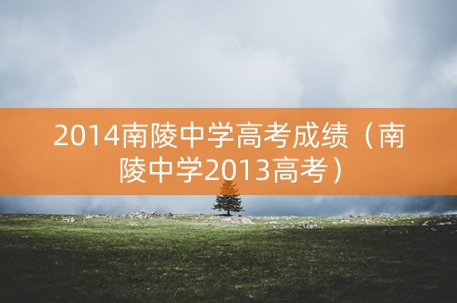 2014南陵中学高考成绩（南陵中学2013高考）