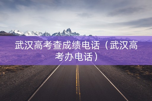 武汉高考查成绩电话（武汉高考办电话）
