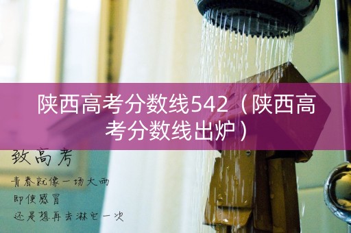 陕西高考分数线542（陕西高考分数线出炉）