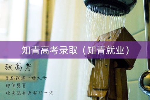 知青高考录取（知青就业）