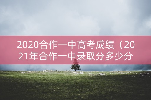 2020合作一中高考成绩（2021年合作一中录取分多少分）