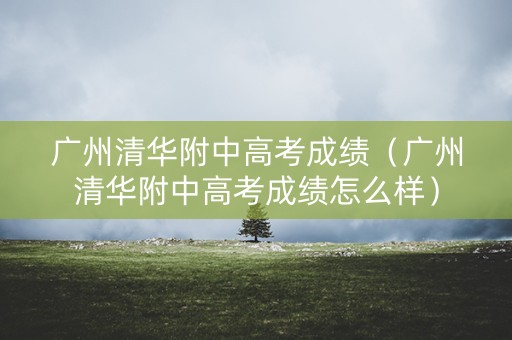 广州清华附中高考成绩（广州清华附中高考成绩怎么样）