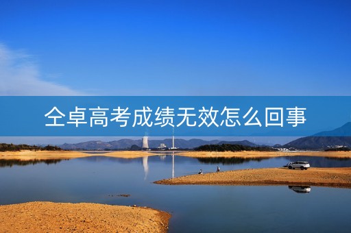 仝卓高考成绩无效怎么回事