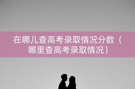 在哪儿查高考录取情况分数（哪里查高考录取情况）